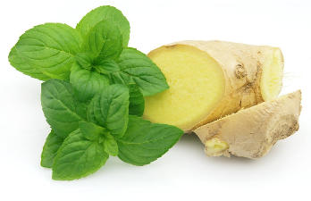 The ginger and the mint in the framework of the tools