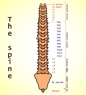 lumbar osteochondrosis